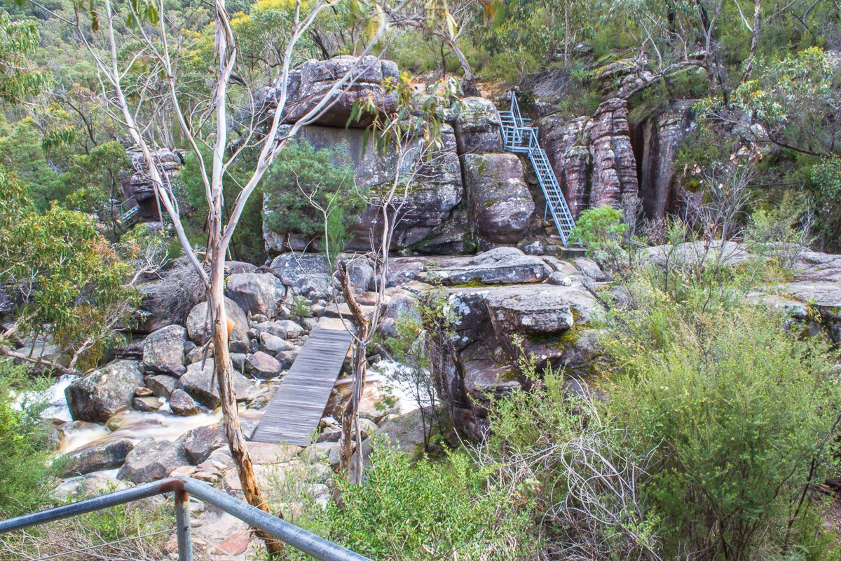The gorge on the Wonderland Carpark track to Venus Baths, with its footbridge and staircase