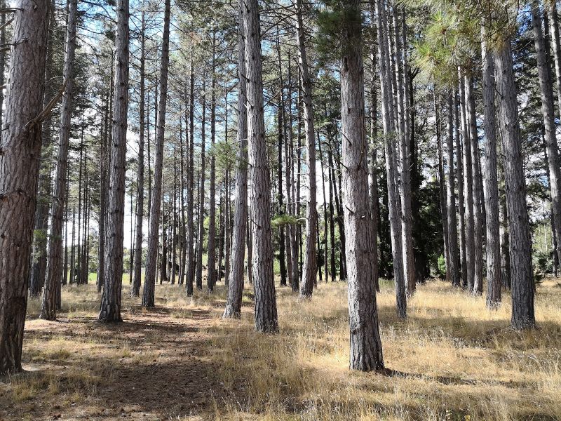 Creswick Holiday Park